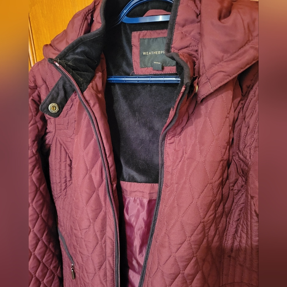 Fall/early winter jacket - Picture 3 of 5